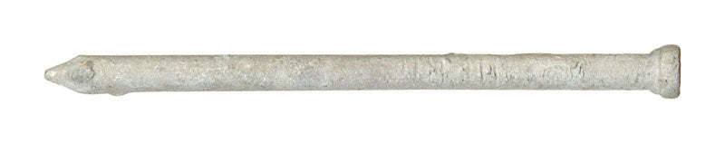 Ace 6D 2 in. Finishing Hot-Dipped Galvanized Steel Nail Countersunk Head 1 lb