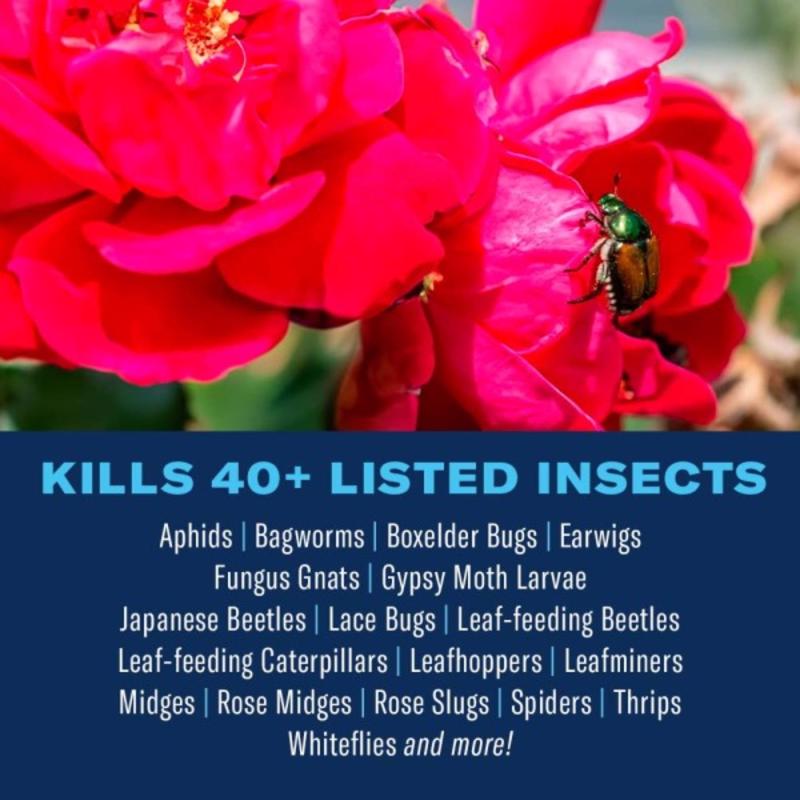 BioAdvanced Dual Action Rose and Flower Insect Killer Continuous Spray 15.7 oz