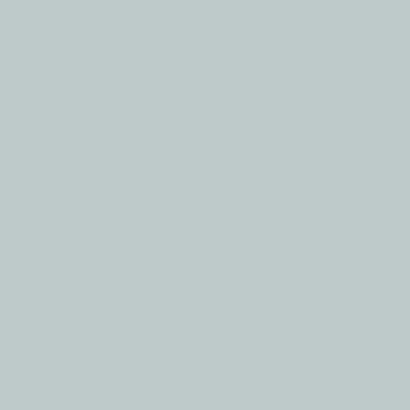 Samplize Benjamin Moore Smoke Peel & Stick Color Sample 2122-40, Pack of 8