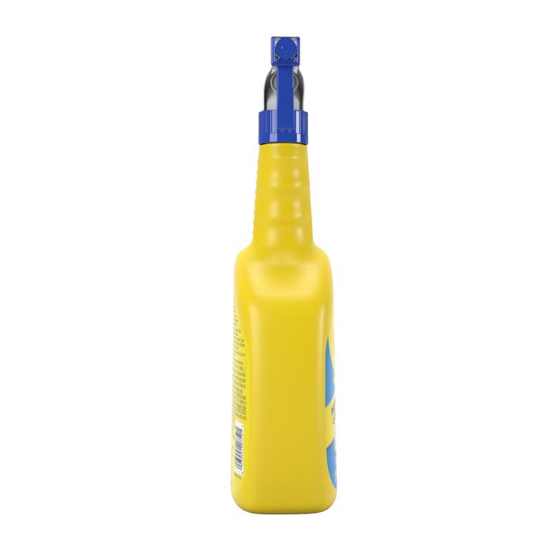 Goof Off All Purpose Remover 22 oz