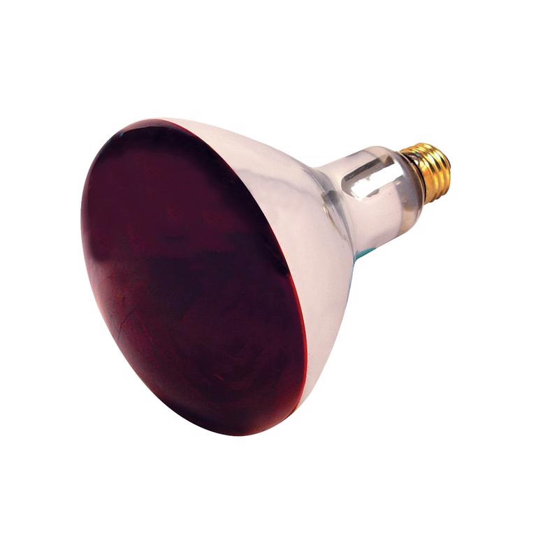 Satco 250 W R40 Heat Lamp Incandescent Bulb E26 (Medium) Red 1 pk, Pack of 12