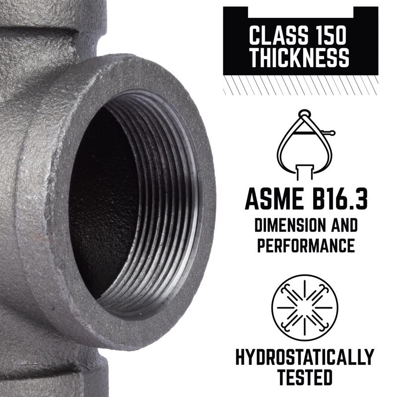 STZ Industries 2 in. FIP each X 2 in. D FIP Black Malleable Iron Coupling