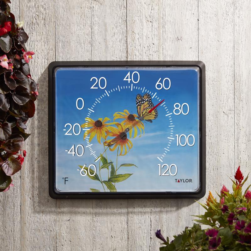 Taylor Butterfly Dial Thermometer Plastic Multicolored 14 in.