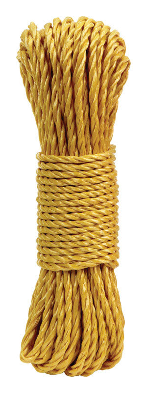 Diamond Visions 0.25 in. D X 72 ft. L Assorted Twisted Poly Rope, Pack of 36