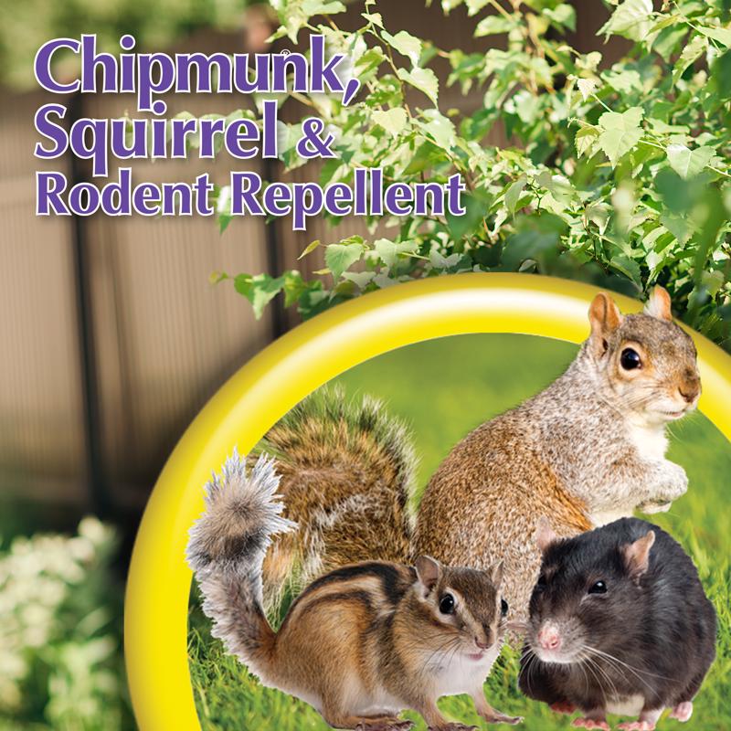 Bonide Repels-All Animal Repellent Liquid For Chipmunks and Squirrels 32 oz