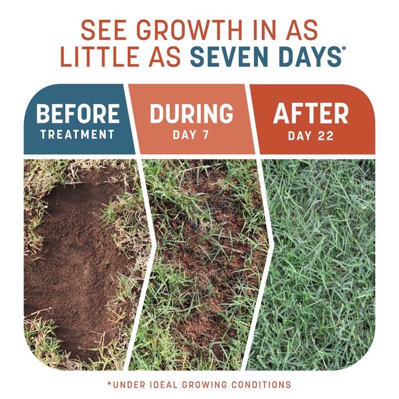 Pennington Smart Patch Bermuda Grass Full Sun Seed/Fertilizer/Mulch Repair Kit 5 lb