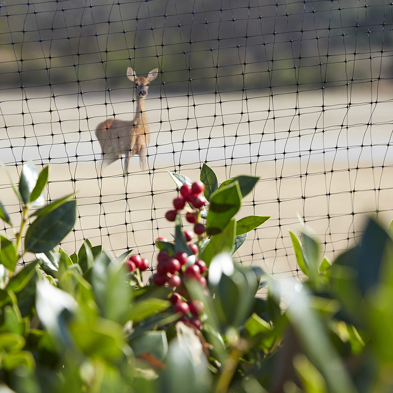 Greenscapes 14 ft. L X 14 ft. W 1 pk Bird Netting