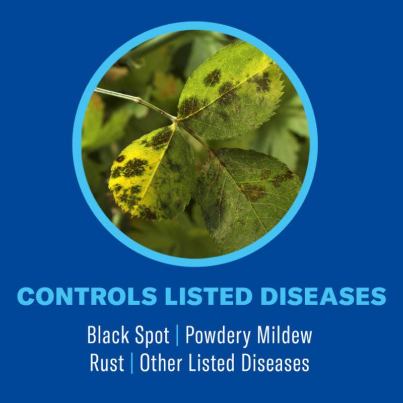 BioAdvanced 3-in-1 Insect Disease & Mite Control Concentrate 32 fl. oz.