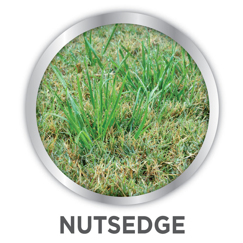 Lilly Miller Image Nutsedge Killer RTU Liquid 24 oz