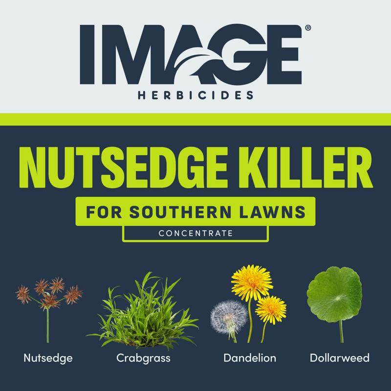Lilly Miller Image Nutsedge Killer RTU Liquid 24 oz