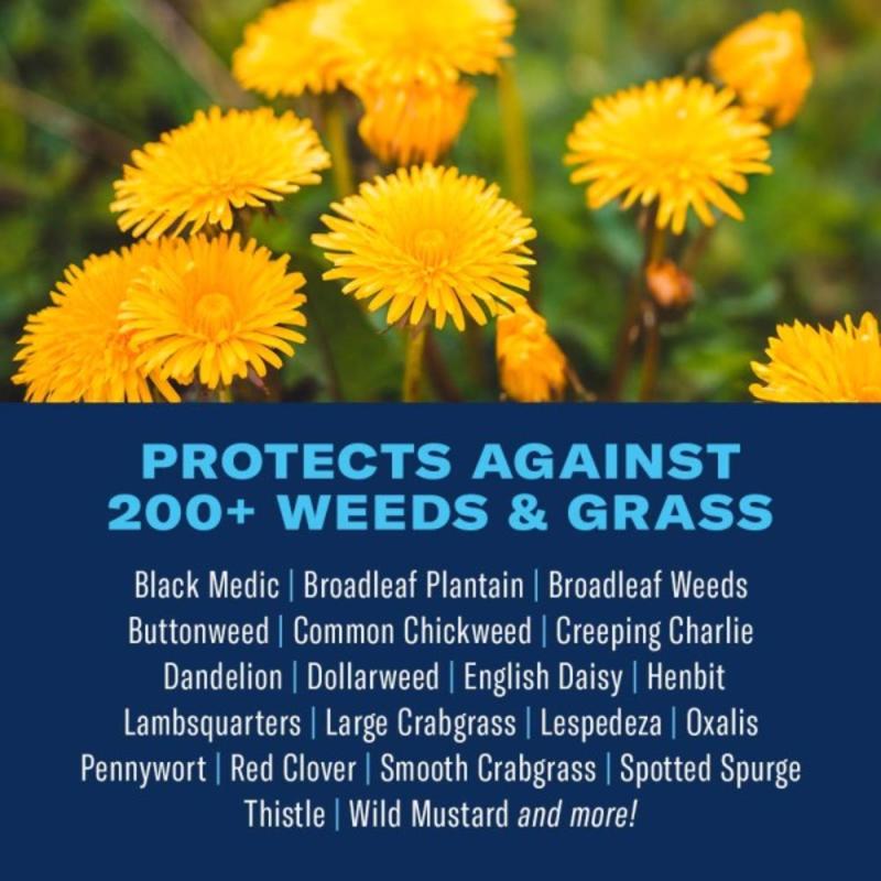 BioAdvanced 704130A Weed and Crabgrass Killer, Liquid, Black/Brown, 1 gal Bottle