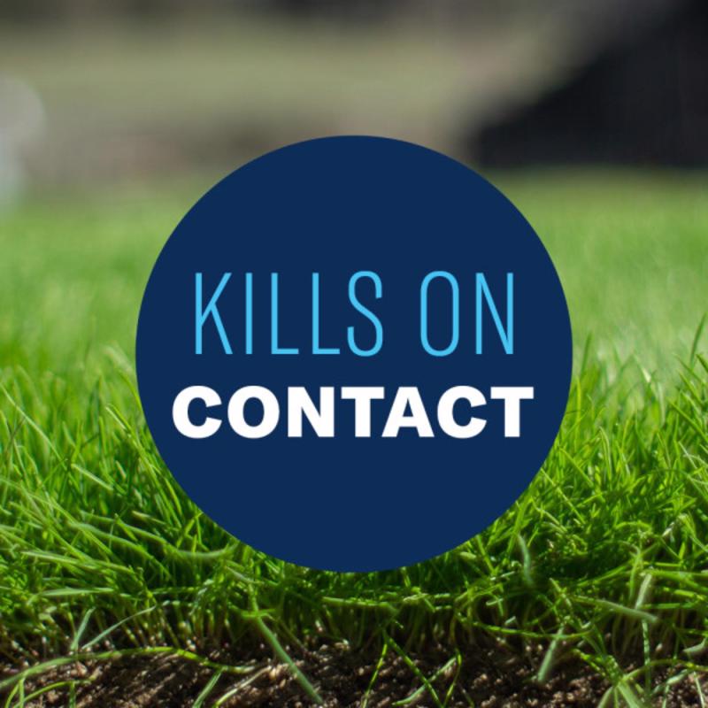 BioAdvanced All-In-One Weed and Crabgrass Killer RTS Hose-End Concentrate 32 oz