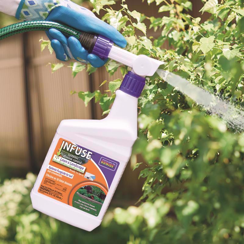Bonide Infuse Moss Killer RTS Hose-End Concentrate 32 oz