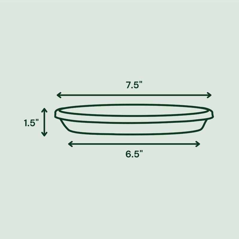 Bloem Terra 1.5 in. H X 8 in. D Resin Traditional Plant Saucer Terra Cotta