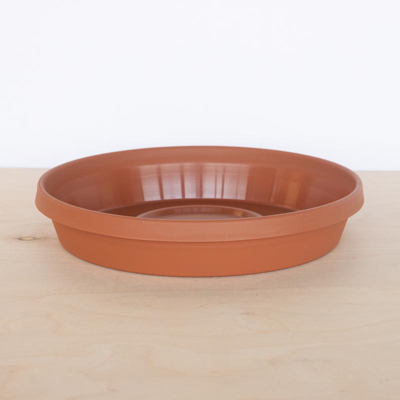 Bloem Terra 1.7 in. H X 10 in. D Resin Traditional Plant Saucer Terra Cotta