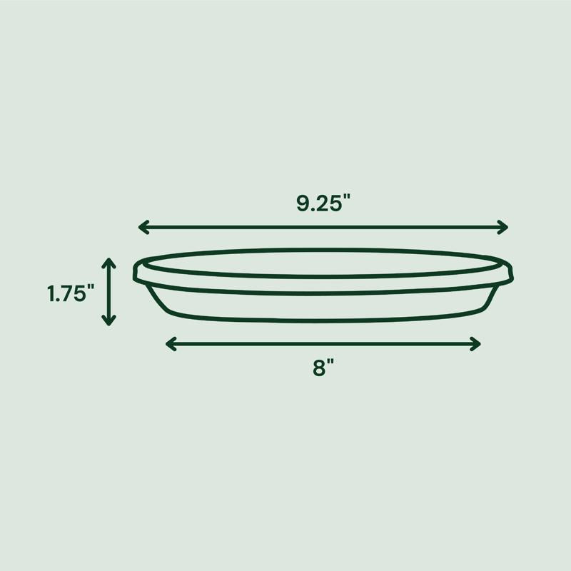 Bloem Terra 1.7 in. H X 10 in. D Resin Traditional Plant Saucer Terra Cotta
