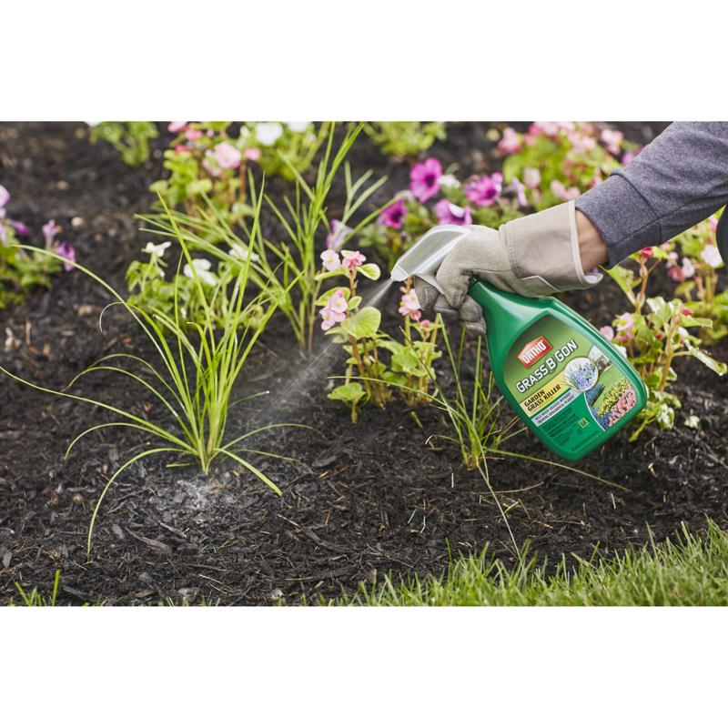 Ortho Grass B Gon Weed and Grass Killer RTU Liquid 24 oz