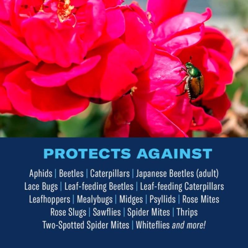 BioAdvanced 3-in-1, Ready-to-Use Insect Disease & Mite Control Spray 24 oz