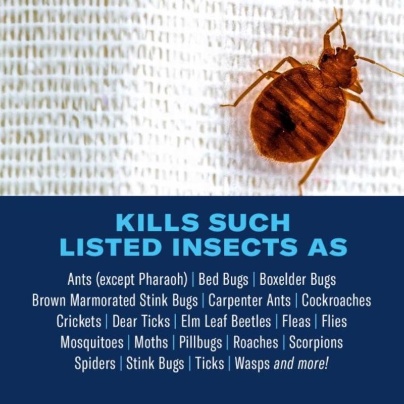 BayerAdvanced 701320A Bed Bug and Flea Killer, Liquid, Spray Application, 15 oz