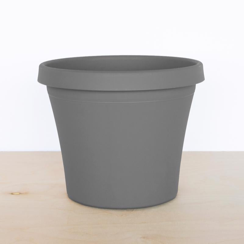 Bloem Terra 7.25 in. H X 8.75 in. W X 6 in. D Resin Traditional Planter Charcoal