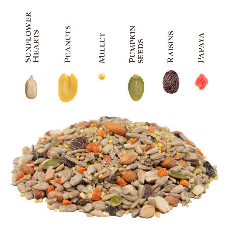 Songbird Selections Wild Bird Seed Wild Bird Food 10 lb, Pack of 4
