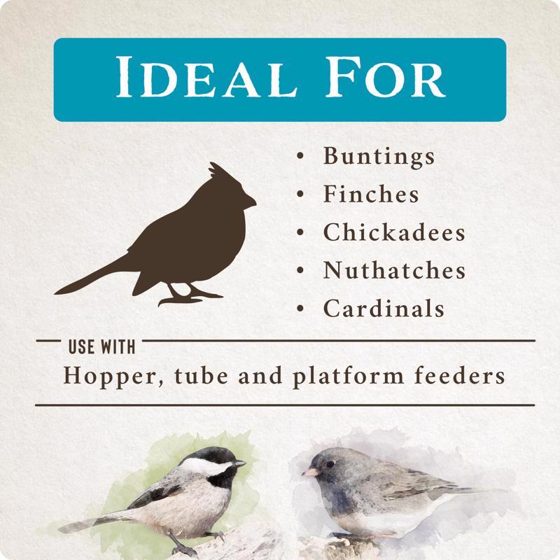 Songbird Selections Wild Bird Seed Wild Bird Food 10 lb, Pack of 4