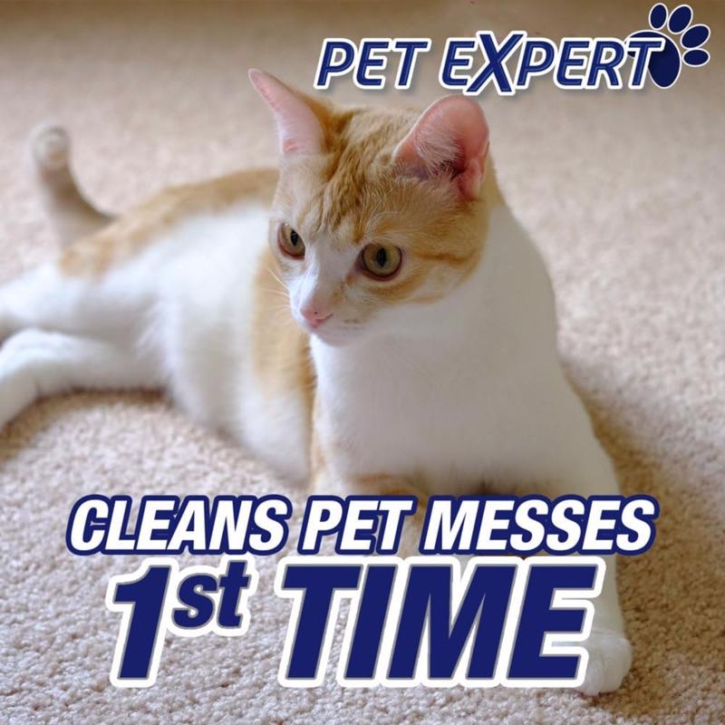 Resolve Pet Oxi Advanced No Scent Carpet Cleaner 22 oz Liquid, Pack of 6