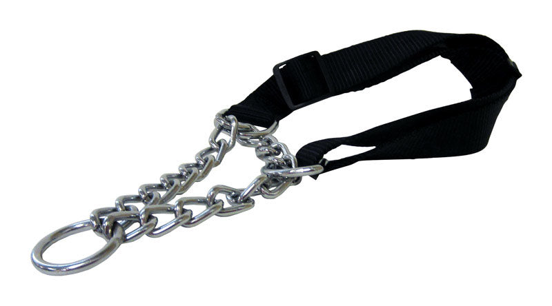 PDQ Black / Silver Steel Dog Collar Large, Pack of 6