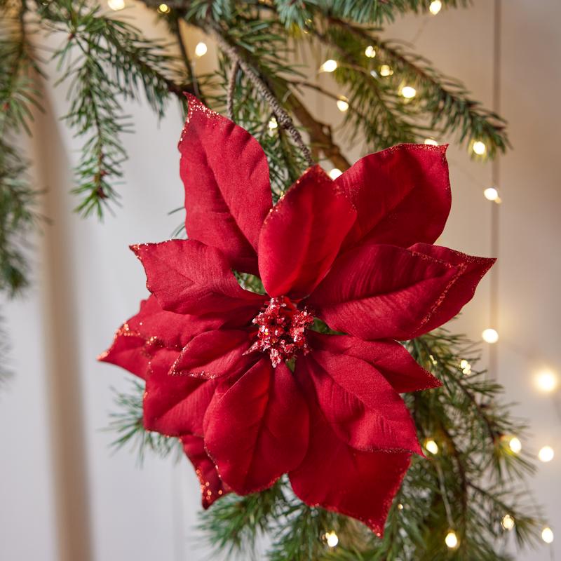 Decoris Red Poinsettia 2.76 in., Pack of 24